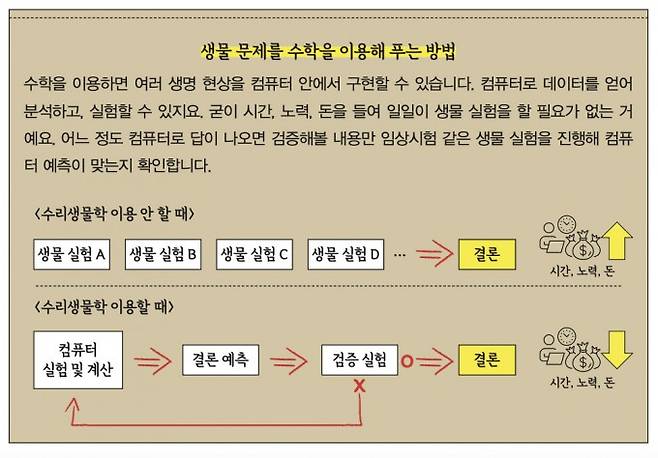 생물 문제를 수학을 이용해 푸는 방법. 수학동아 제공