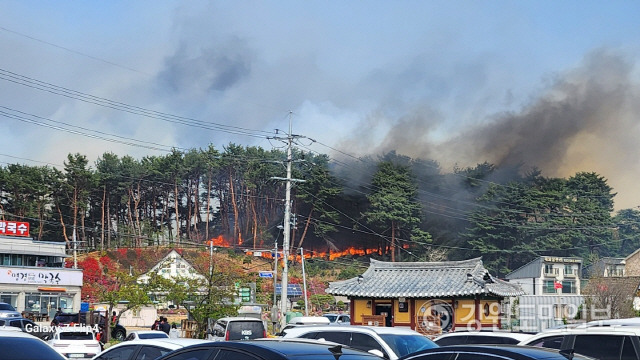 ▲ 동해안에 강풍주의보가 내려진 가운데 11일 오전 8시 30분 쯤 강릉시 난곡동의 한 야산에 산불이 발생했다. 11시쯤 강릉시 경포로 에디슨과학박물관 뒤쪽 야산으로 불이 번지고 있다.