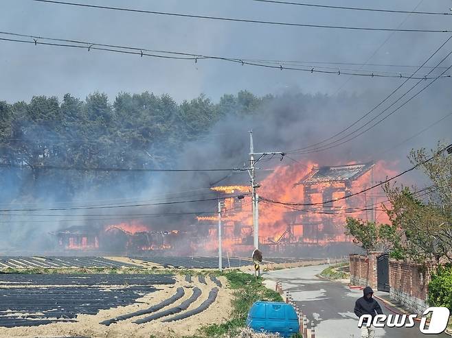 11일 오전 8시 22분쯤 강원 강릉 난곡동의 한 야산에서 발생한 산불이 민가로 확산, 한 주택이 불에 휩싸여 있다. 소방당국은 소방 대응 3단계를 발령하고 최고수위의 진화 작업을 펼치고 있다. 2023.4.11/뉴스1 ⓒ News1 윤왕근 기자