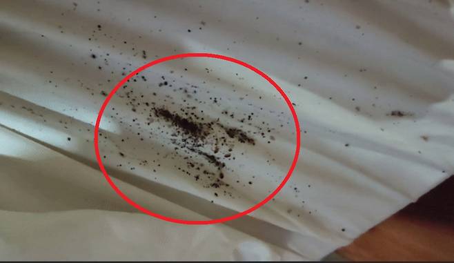 온라인커뮤니티 캡처