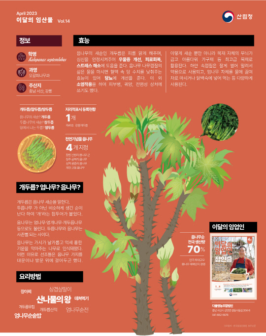 이달의 임산물 음나무 소개 포스터. 사진=산림청 제공