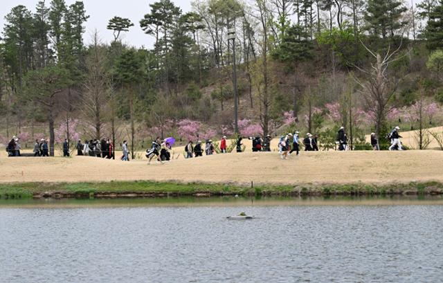 메디힐·한국일보 챔피언십 개막일인 13일 경기 여주 페럼클럽을 찾은 갤러리들이 줄지어 이동하고 있다. 이날 1라운드에는 평일과 높은 미세먼지 농도에도 700여 명이 찾았다. 여주=서재훈 기자