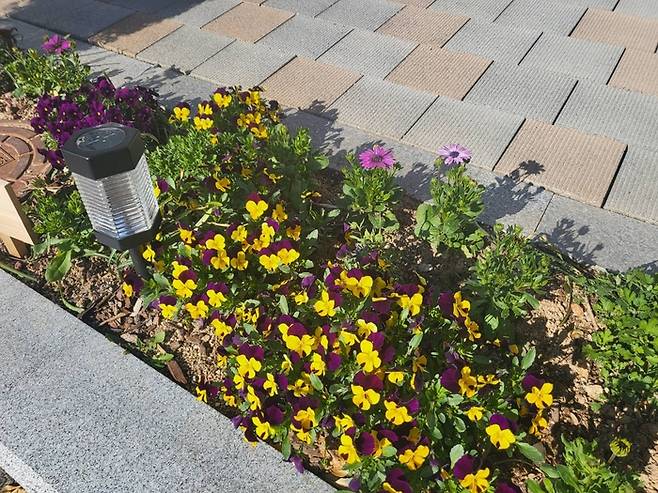 빗물가로 정원/사진=강찬미 여행+기자