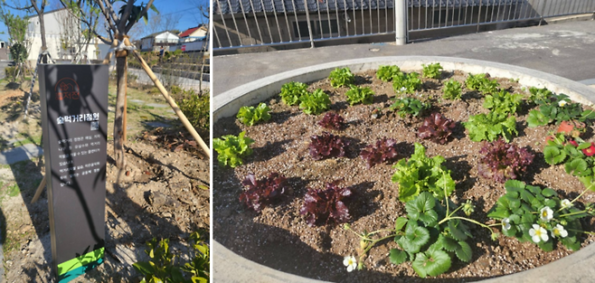 숲먹거리 정원/사진=강찬미 여행+기자