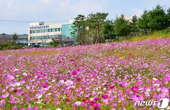 광주시농업기술센터 전경. ⓒ News1