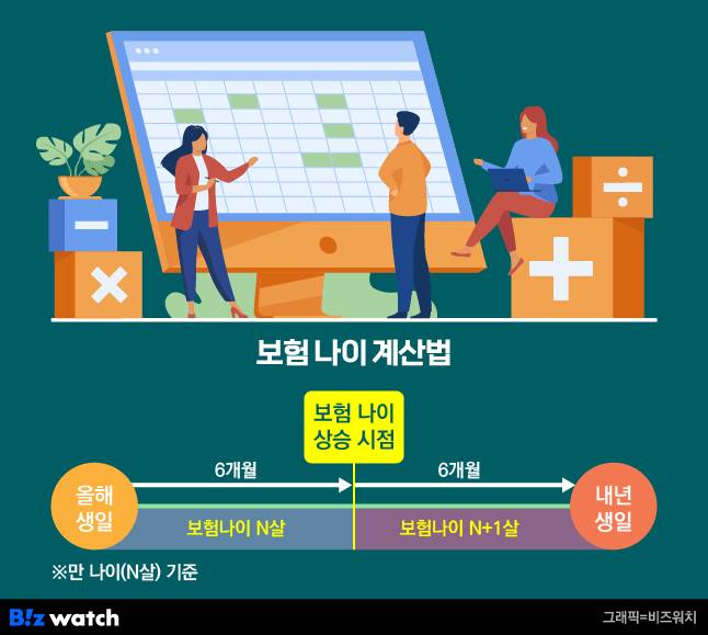 보험나이 계산법/그래픽=비즈워치