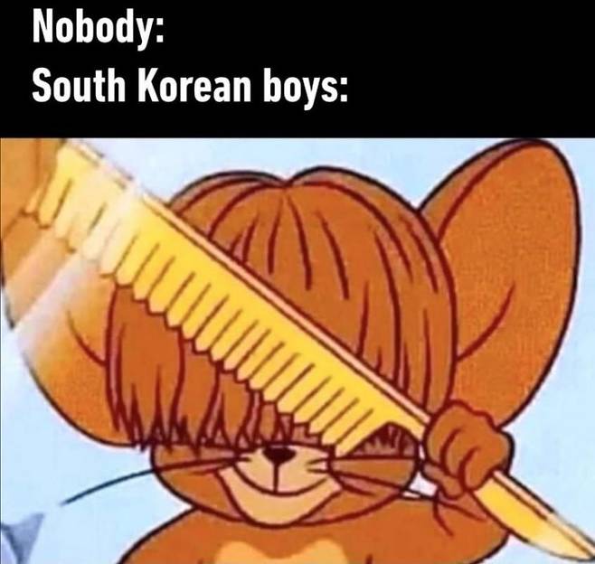 해외 네티즌들이 한국 남자의 앞머리 사랑을 풍자해 제작한 인터넷 밈(meme). /온라인 커뮤니티 캡처