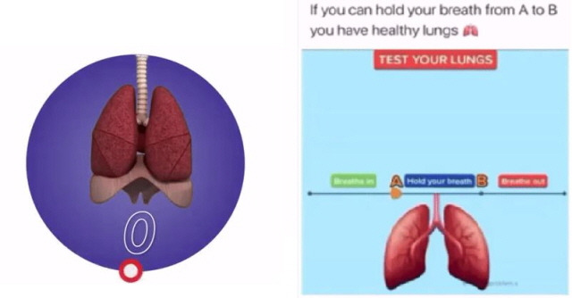 숨을 참는 폐 건강 테스트로는 전혀 폐 건강을 확인할 수 없다./사진=유튜브, 트위터 캡처