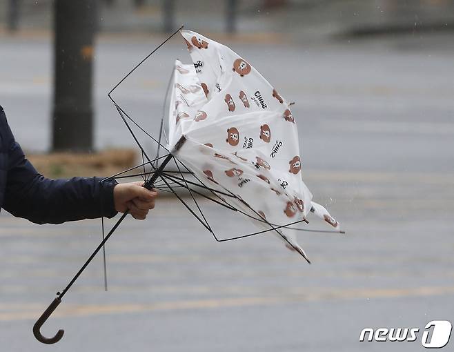 전국에 강풍이 몰아치던 지난 11일 서울 청계광장 인근에서 한 시민이 사용하던 우산이 강풍에 부러져 있다. /뉴스1 ⓒ News1 신웅수 기자