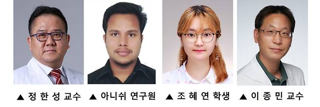 정한성 연세대학교 치과대학 구강생물학교실 교수 연구팀/세브란스병원 제공