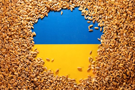 우크라이나의 농산물이 동유럽과의 분쟁 씨앗이 되고 있다는 분석이 나오고 있다. 연합뉴스