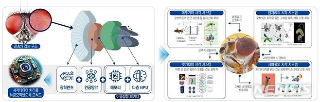 [광주=뉴시스]슈퍼비전 AI를 위한 겹눈모방 뉴로모픽 반도체 연구개발 모식도