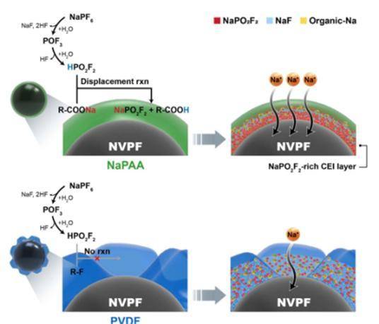 [대전=뉴시스] 에너지연구원이 개발한 바인더 작동 메커니즘  *재판매 및 DB 금지