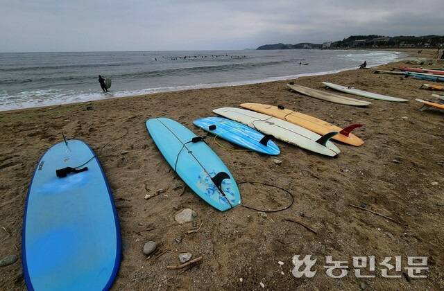 휴일인 이달 16일 강원 양양지역 한 서핑 해변을 찾은 서퍼들이 파도타기를 즐기고 있다.연합뉴스