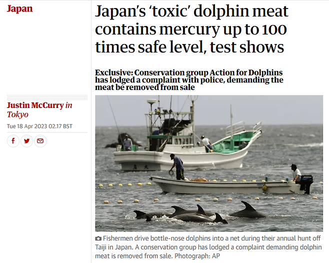 호주 비영리 돌고래보호단체 ‘액션 포 돌핀스’(ADF)는 일본 온라인에서 구매할 수 있는 돌고래 고기(사진)에서 일본 정부 허용 기준치의 97.5배의 수은이 검출됐다고 주장했다. 해당 내용을 담은 영국 가디언 18일자 보도 캡처