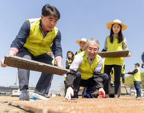 이석준(가운데) NH농협금융 회장이 지난 19일 충남 예산군 소재 농가에서 모판을 옮기고 있다. [NH농협금융 제공]