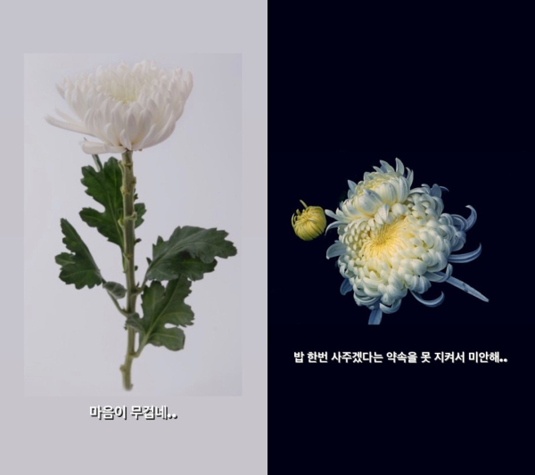 사진제공=뮤지컬 배우 김호영 SNS 