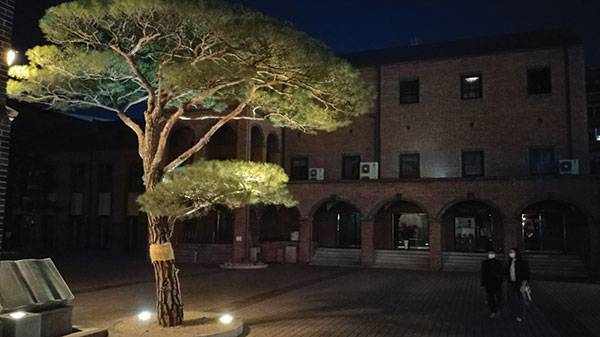 어느 거리든 갖가지 상징과 기호들로 명멸한다. 을지로에서 야밤의 명동으로 길을 틀었을 때, 첨단의 광고와 함께 수줍은 나무도 빛난다.