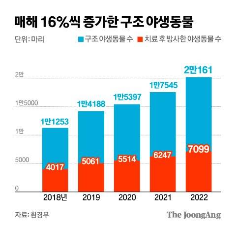 그래픽=김경진 기자 capkim@joongang.co.kr