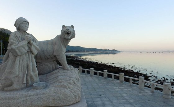 전남 진도군 회동리와 모도 사이의 바다에 길이 형성되는 모습. 이곳에서는 매년 ‘신비의 바닷길축제’가 열린다. 프리랜서 장정필