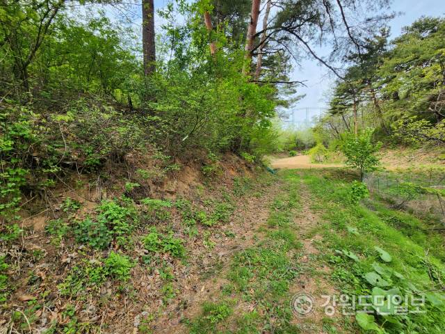 ▲ 동해시 용정동 청동기 추정 유물 발견지 일대.