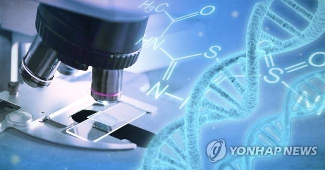 사진=연합뉴스
