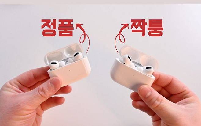 [사진, 애플인사이더]