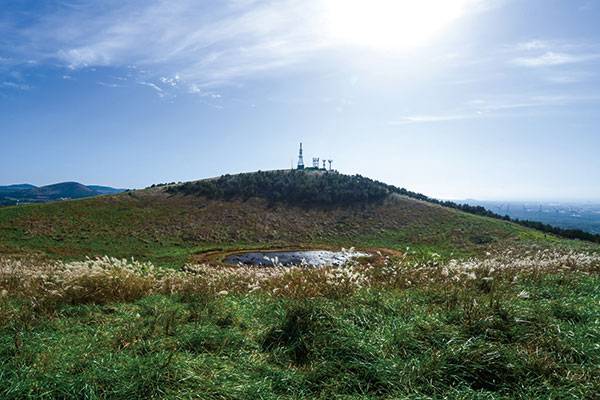 북쪽 능선에서 본 정상. 철탑이 선 쪽만 해송이 자란다.