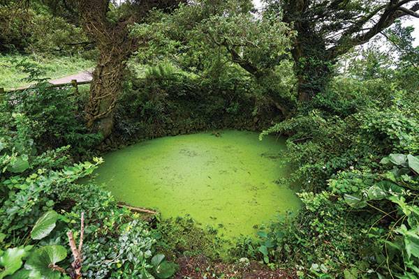 들머리의 '생이못'. 들새가 와서 물을 마시는 곳이다.