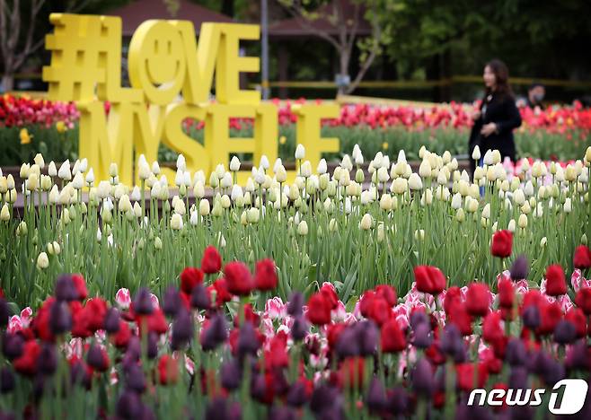 26일 경기도 고양시 일산호수공원에서 열린 2023 고양국제꽃박람회 프레스데이에서 꽃들이 전시돼 있다. 27일부터 오는 5월8일까지 일산호수공원에서 열리는 이번 박람회에는 해외 25개국이 참가한다. 2023.4.26/뉴스1 ⓒ News1 이승배 기자