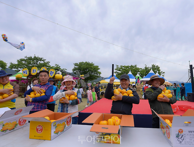 성주참외&생명문화축제