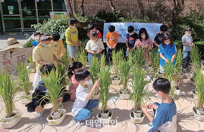 벼 재배키트 체험 ⓒ농림축산식품부