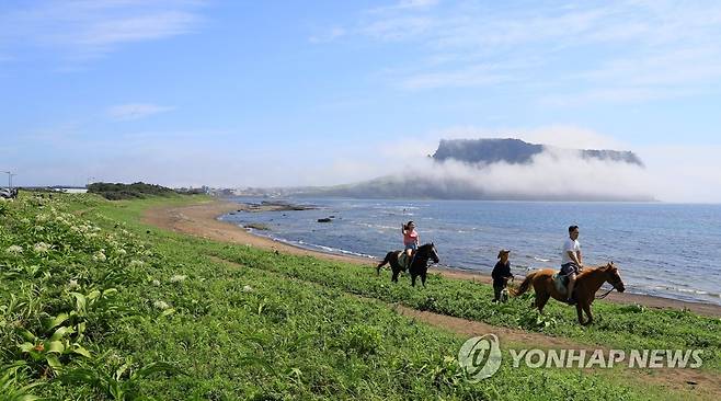 제주 승마 체험 [연합뉴스 자료사진]