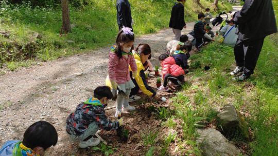 지난 26일 광덕산 '시민의 숲' 조성 행사에서 어린이집 원생들이 산철쭉 등을 심고 있다. 사진=천안아산환경련 제공