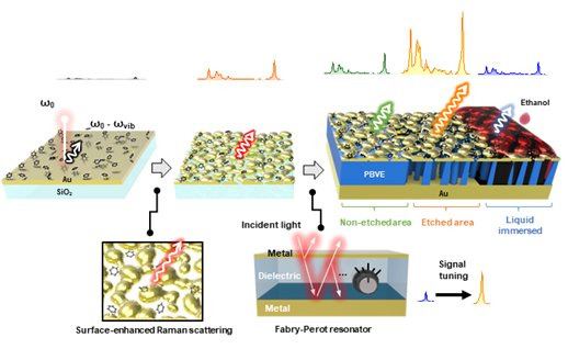 금 나노 구조와 패브리-페로 구조를 결합한 분자 검지 기판의 모식도