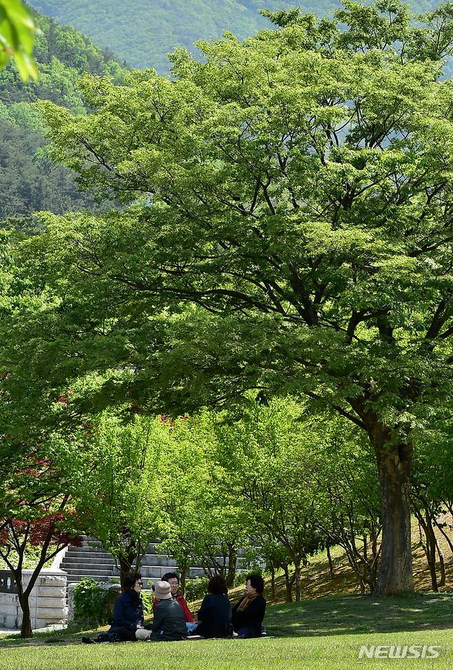 [대구=뉴시스] 이무열 기자 = 27일 오후 대구 수성구 대구스타디움 광장에서 시민들이 나무그늘 아래서 휴식을 취하고 있다. 2023.04.27. lmy@newsis.com