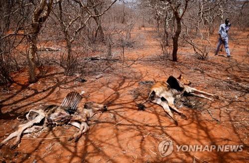 동부 아프리카 가뭄 [로이터 연합뉴스 자료사진, 재판매 및 DB 금지]