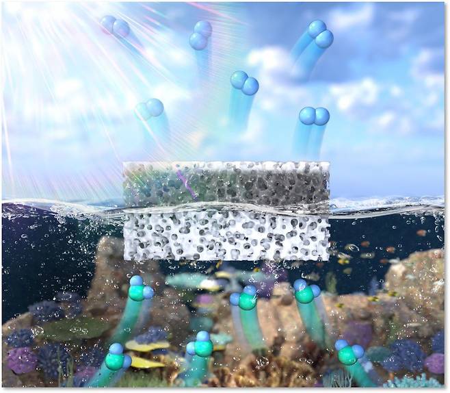 기초과학연구원(IBS) 연구진이 광촉매의 수소 생산 효율을 높일 수 있는 플랫폼 기술을 개발했다. 물 속에서 수소를 만드는 기존 방식의 단점을 해결하기 위해 고분자 하이드로겔로 물에 띄워 사용하는 형태다. /IBS