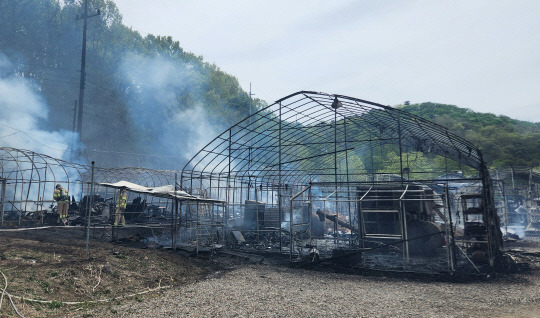 28일 오후 인천시 계양구 귤현동 농원 비닐하우스가 불에 타 훼손돼 있다. 이 불로 70대 노부부가 숨지고 비닐하우스 17개 동이 전소했다. [독자 제공]