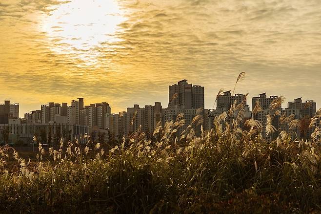 위 사진은 기사 내용과는 직접적인 연관이 없음. [ 사진출처 = 픽사베이]