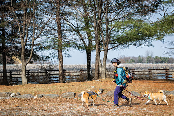김씨 일행이 호명호수변 공원에서 산책과 휴식을 즐긴다.