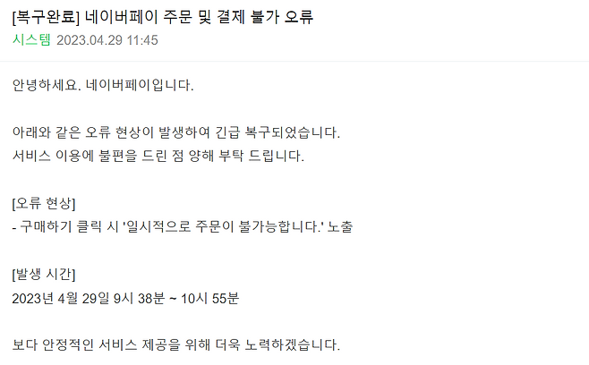 29일 오전 한때 네이버페이 접속이 지연되는 문제가 발생했다./네이버페이 홈페이지 캡처