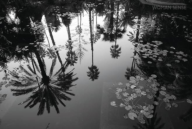 재계 대표 사진 마니아인 그는 실력도 상당하다. 유명 가수의 앨범에 실리기도 했다.