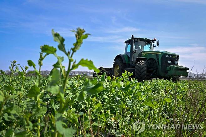 수확 작업 중인 우크라이나 농민  [AFP 연합뉴스 자료사진. 재판매 및 DB 금지]