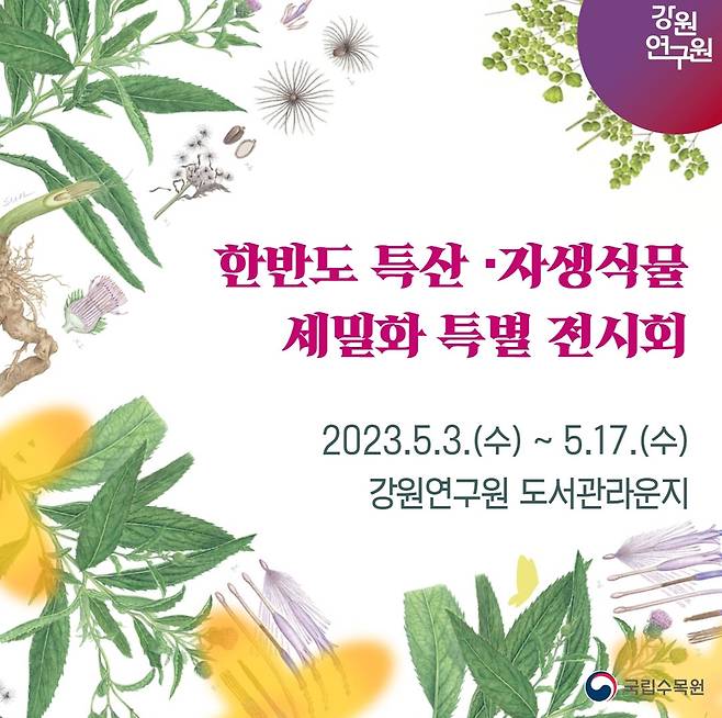 한반도 특산·자생식물 세밀화 특별 전시회 포스터.[강원연구원 제공]