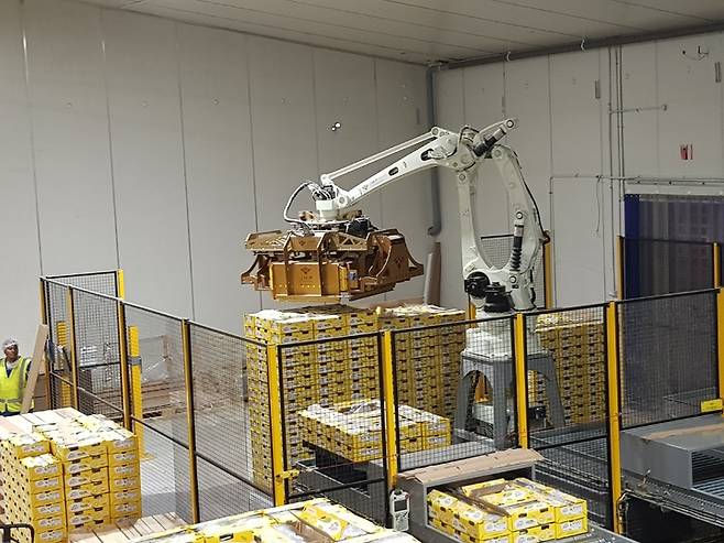 [카티카티=뉴시스] 주동일 기자 = 로봇 팔로 키위 팔레트를 쌓는 모습. 2023.04.04. *재판매 및 DB 금지