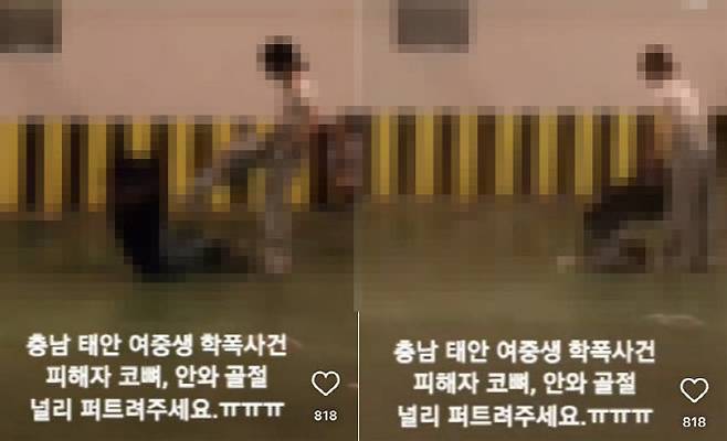 ‘태안 여중생 학교폭력 영상’ 캡처 (사진=SNS)