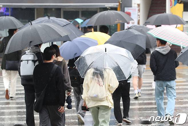 봄비가 내리며 기온이 크게 내려간 25일 오전 경북 경산시 대학로에서 우산을 쓴 시민들이 횡단보도를 따라 길을 건너고 있다. 2023.4.25/뉴스1 ⓒ News1 공정식 기자