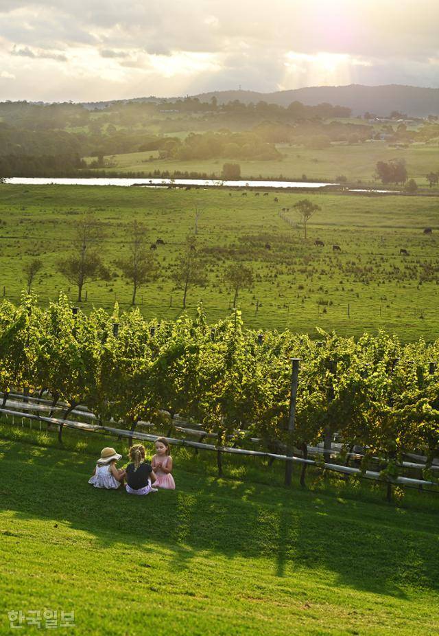 시드니 남부 몰리묵의 한 팜스테이에서 어른들이 한가로이 저녁식사를 즐기는 동안 아이들이 포도넝쿨 아래서 그들만의 시간을 즐기고 있다.