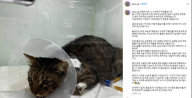 A screenshot of an Instagram post showing Jullyang-i in recovery (Jullyang-i's official Instagram account)